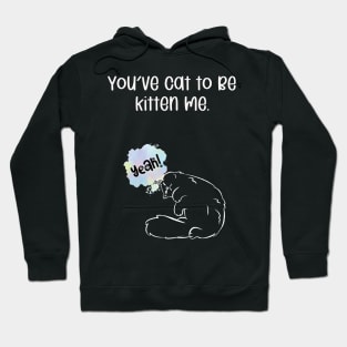 You've cat to be kitten me. Hoodie